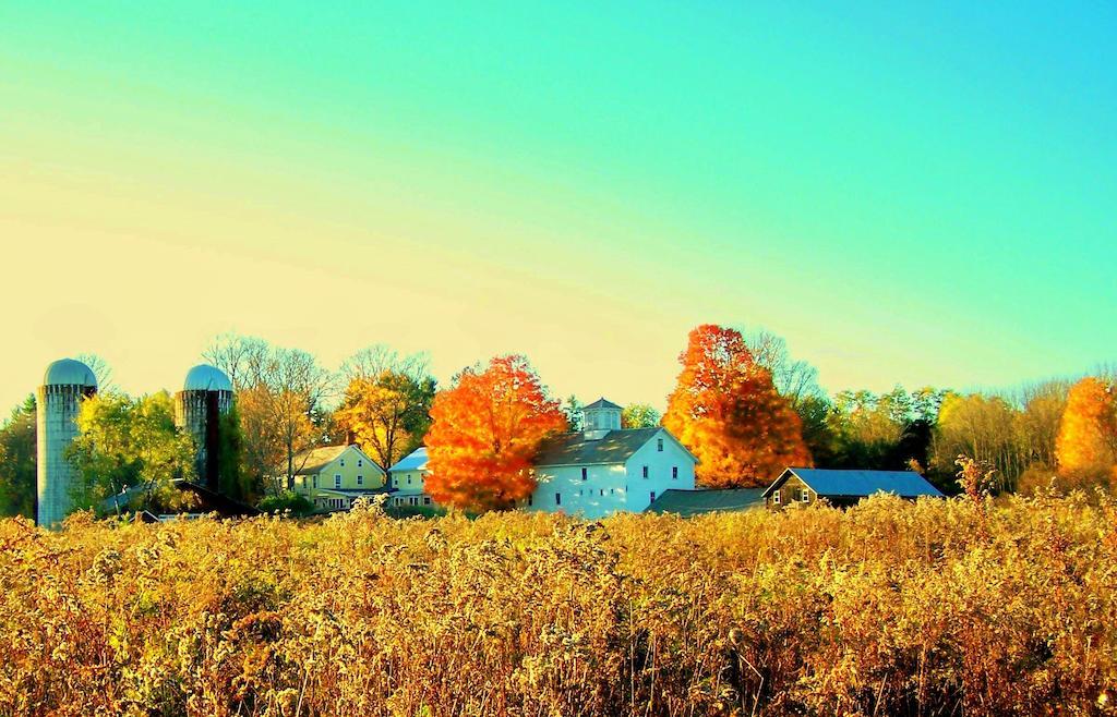 Saratoga Farmstead Saratoga Springs