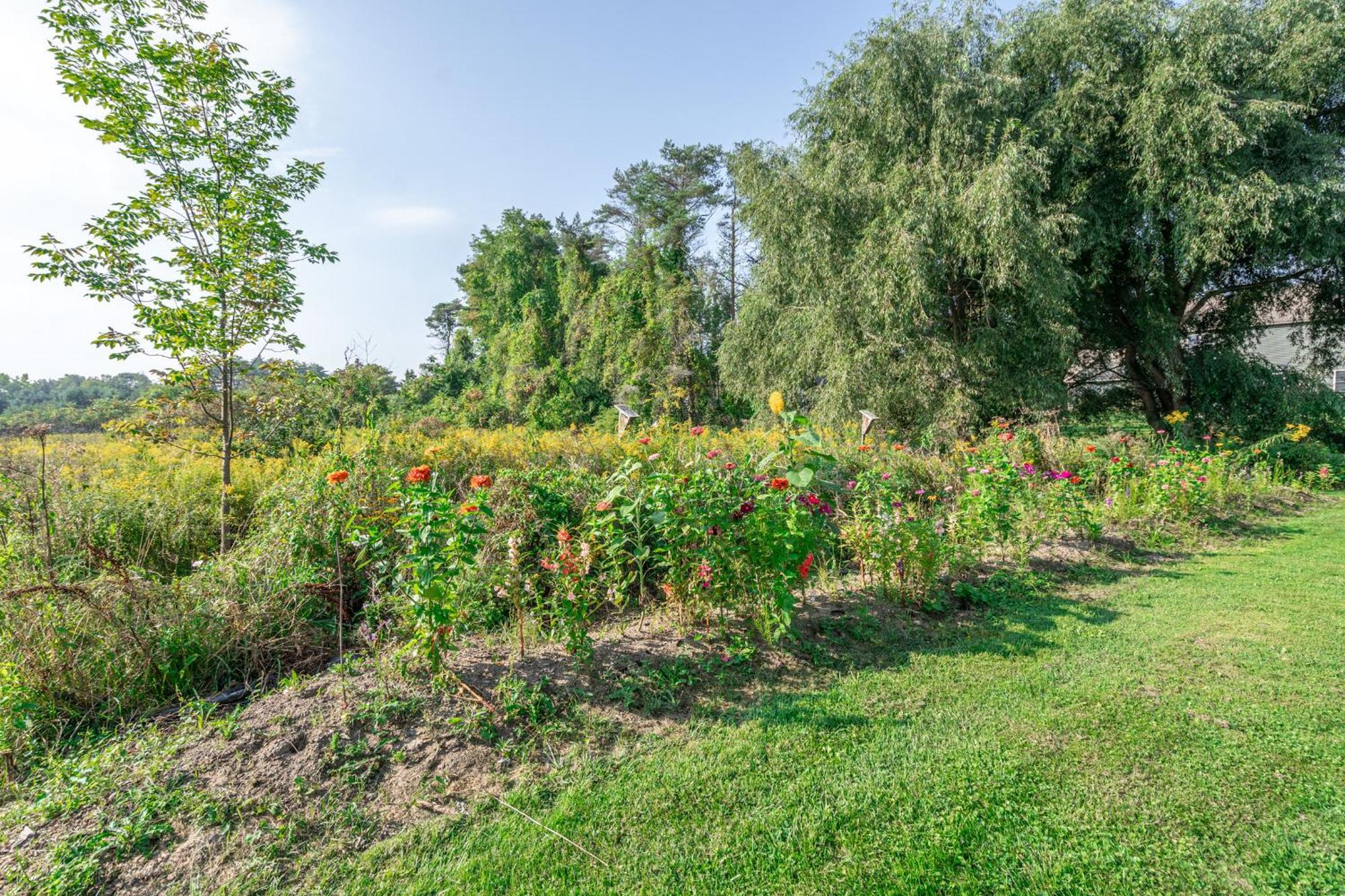 Saratoga Farmstead