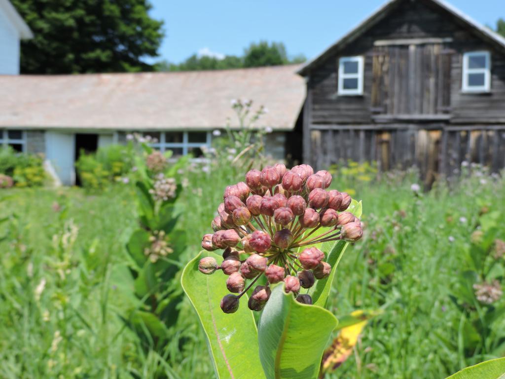 Saratoga Farmstead